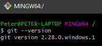 Screenshot Git Bash