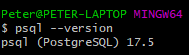 PostgreSQL version