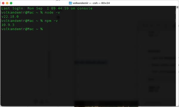 node.js und npm (node package manager) wurden korrekt auf macOS installiert