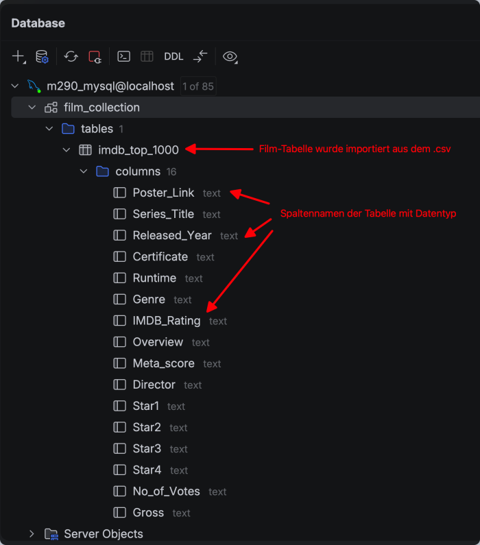  Screenshot: Importierte Tabelle in DB-Plugin mit Spalten und Datentypen