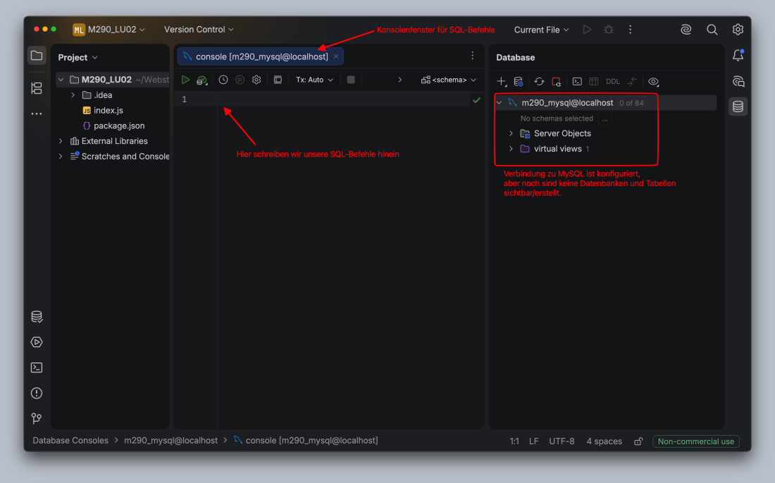  WebStorm-Screenshot nach erfolgreicher Konfiguration der Verbindung zu MySQL