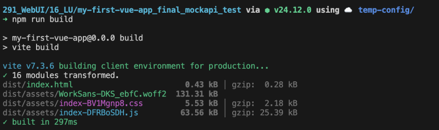  Terminal-Output nach npm run build 