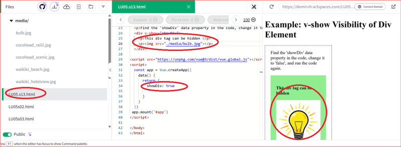 Codesolution of v-show simple