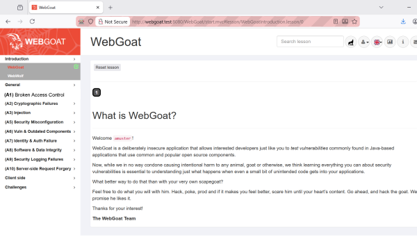 WebGoat WebGoat