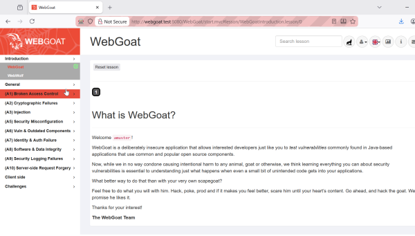 WebGoat