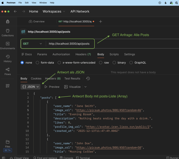  Screenshot alle posts abfragen.